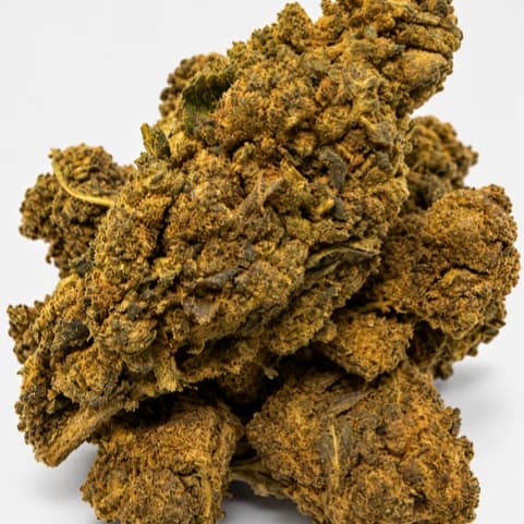 Fleurs TNT